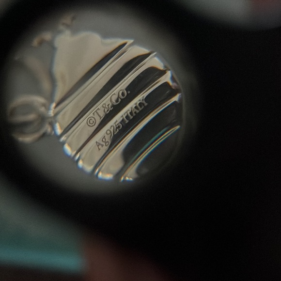 T&Co. Ladybug - Picture 3 of 3